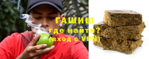 шишки Надым