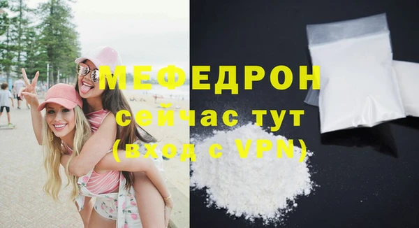 шишки Надым