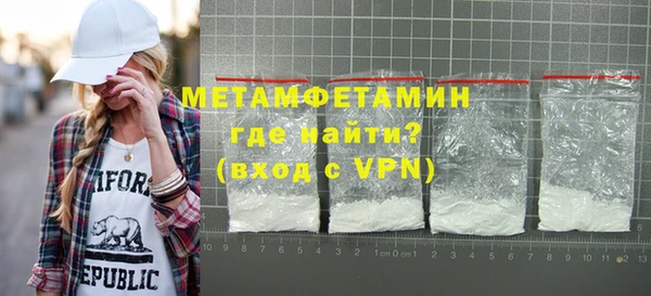 шишки Надым