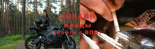 шишки Надым